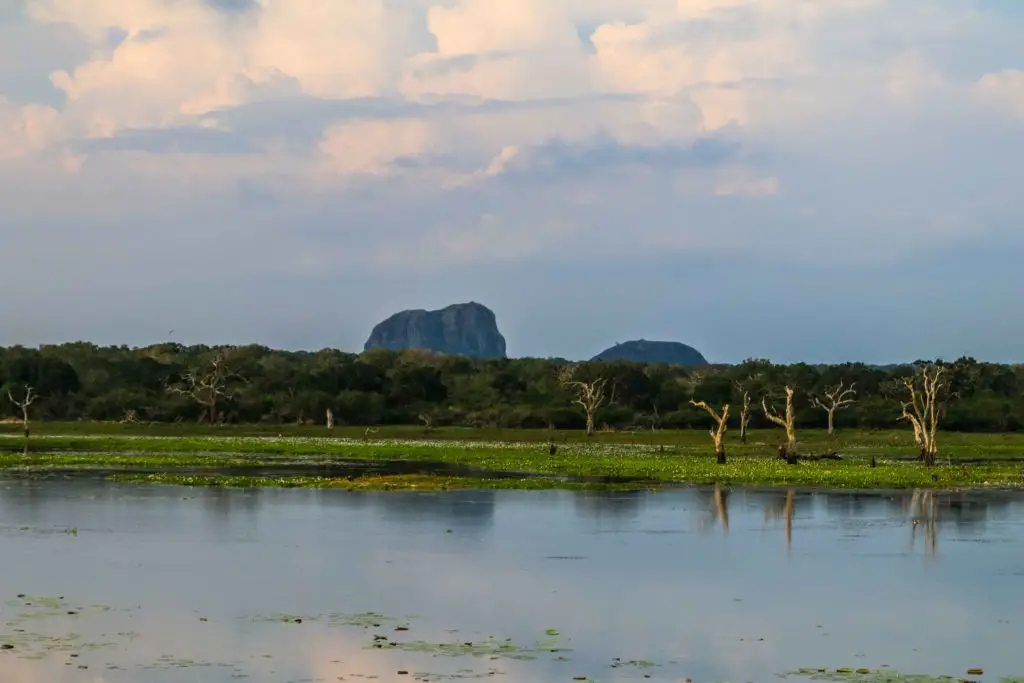 Elefantenfelsen im Yala Nationalpark Tissa - Sri Lanka