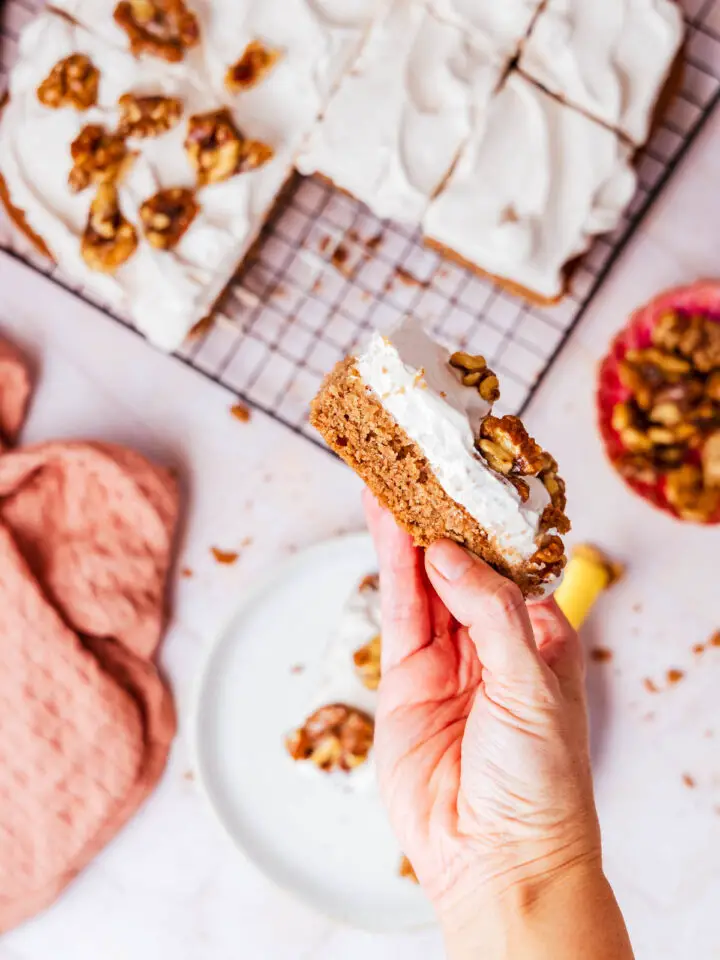 Gewürzkuchen vom Blech - Glutenfrei, LowCarb &amp; Keto