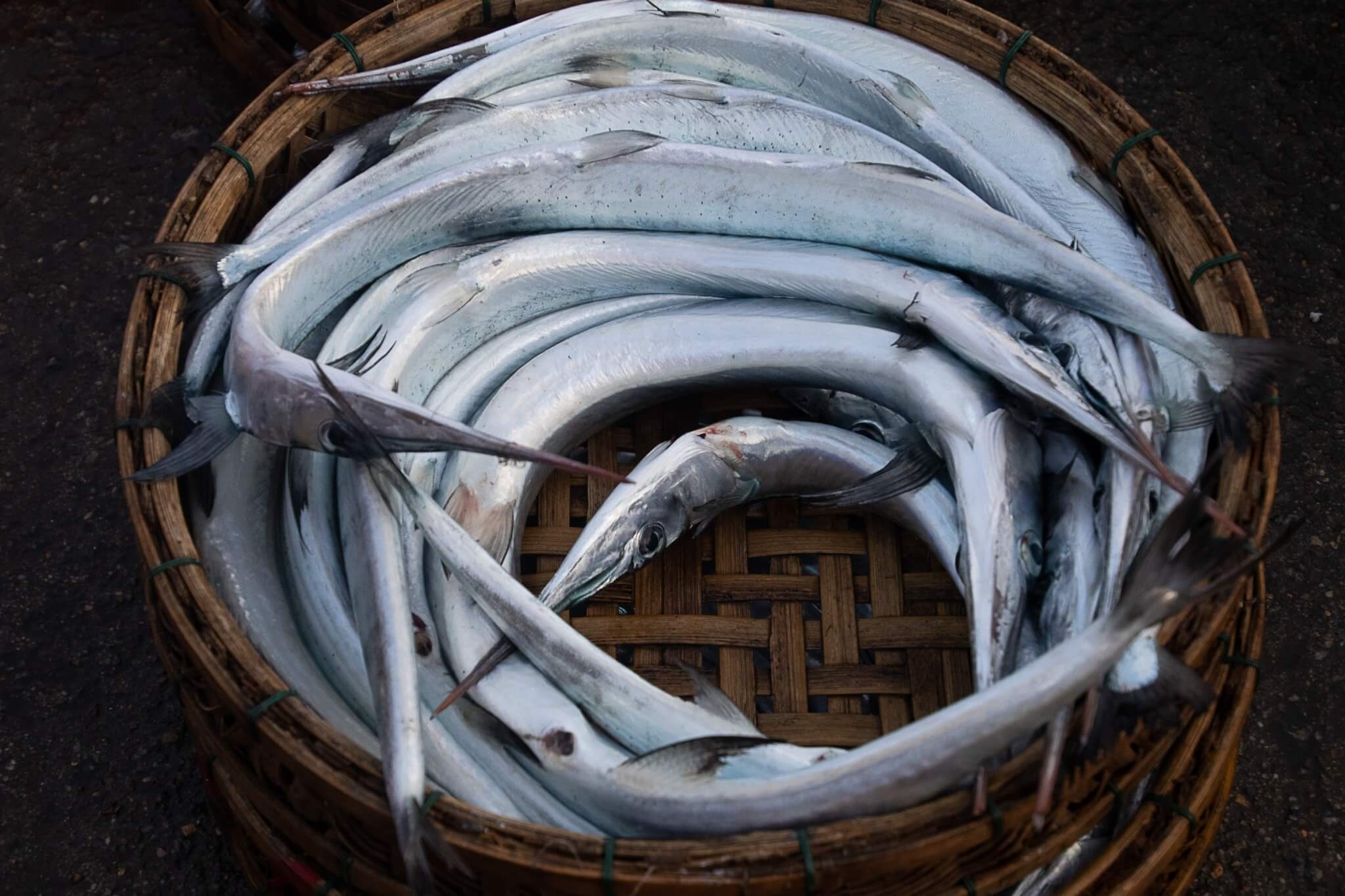vietnam-fischmarkt